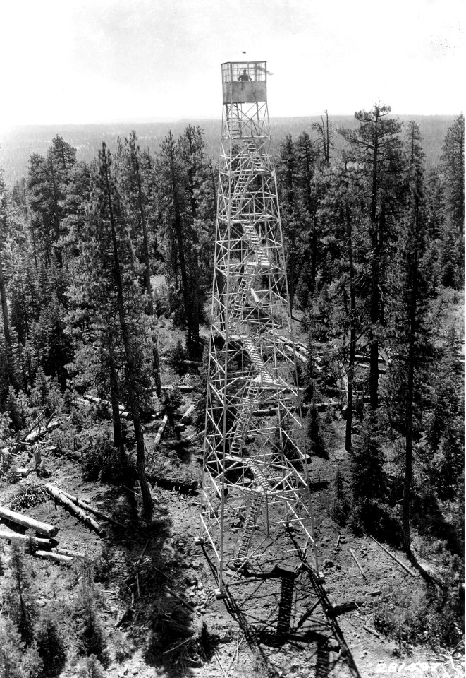 281497 CCC Camp Ingram Building LOT, Fremont NF, OR 1933
