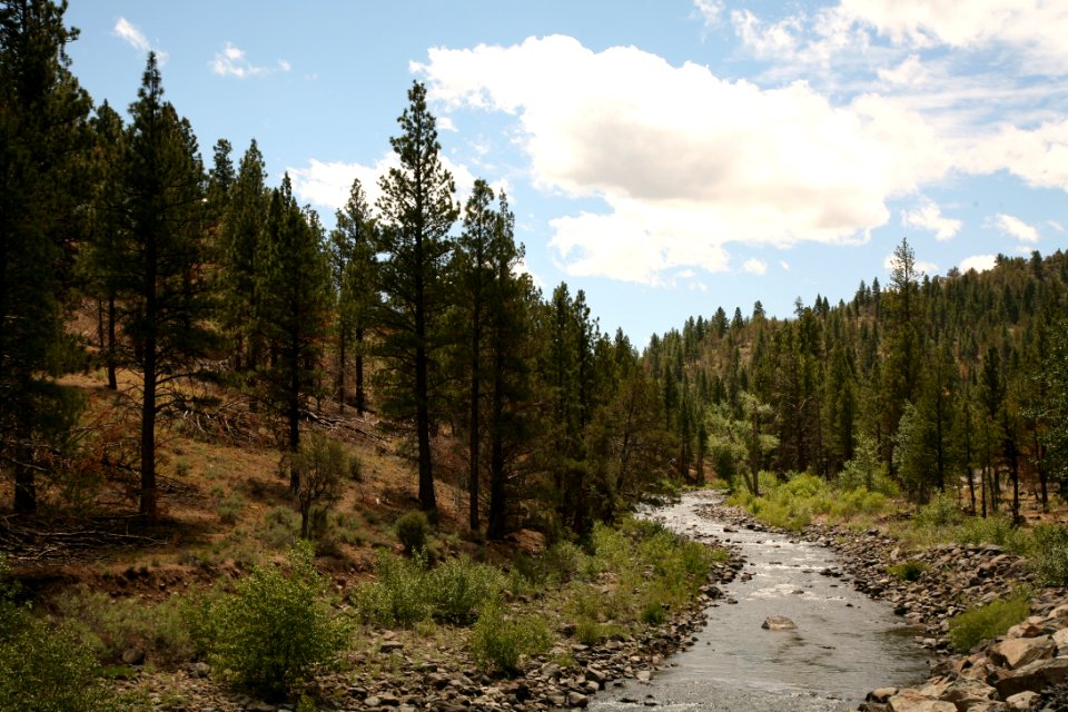 Chewaucan River, Fremont-Winema National Forest