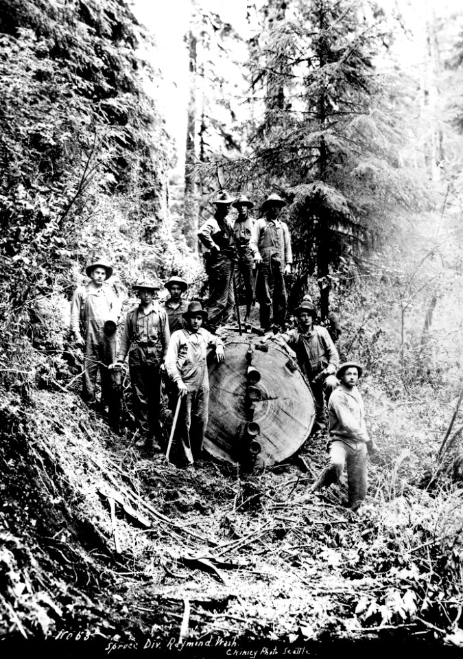 No. 53 Riving a Log - Raymond, WA - Kinsey Photo