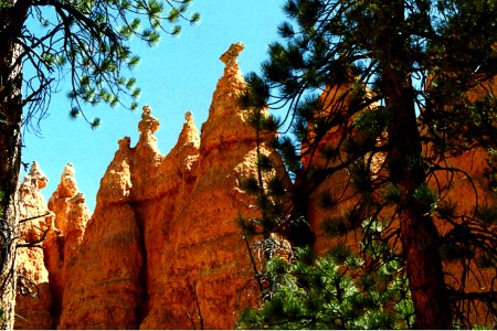 Bryce Canyon 2 photo