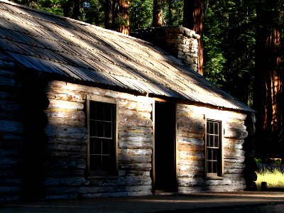 log cabin in redwoods photo