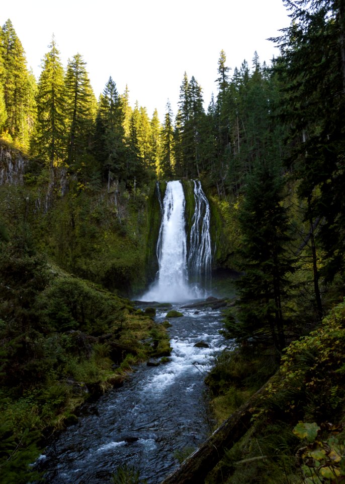 Lemolo Falls, Umpqua National Forest