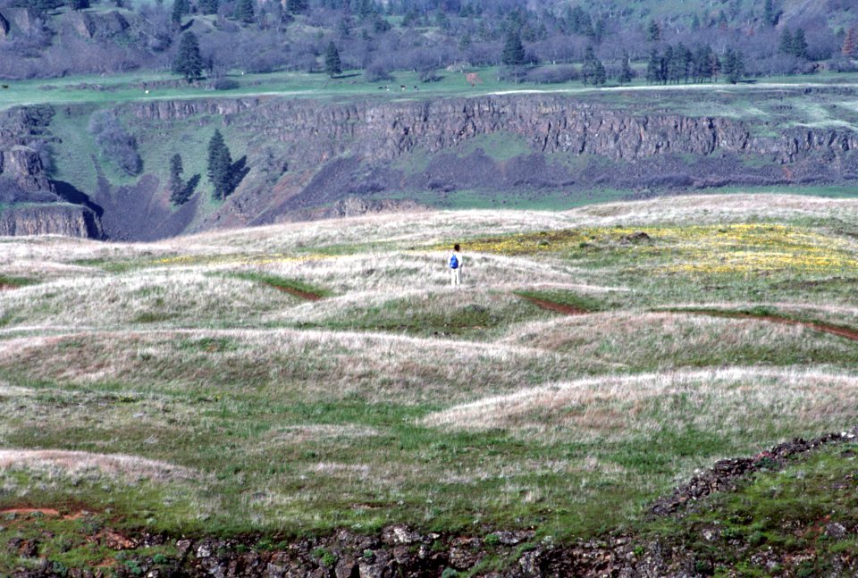 Hiker at Tom McCall Nature Preserve, Columbia River Gorge National Scenic Area.jpg