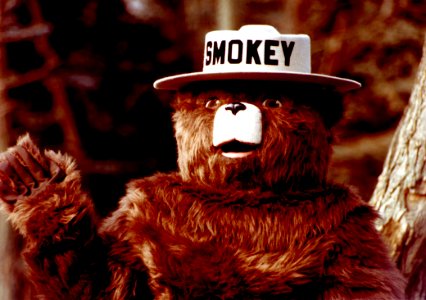 Smokey Bear Costume photo
