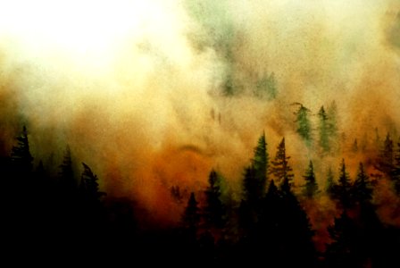 215513 Study of Fires 1927