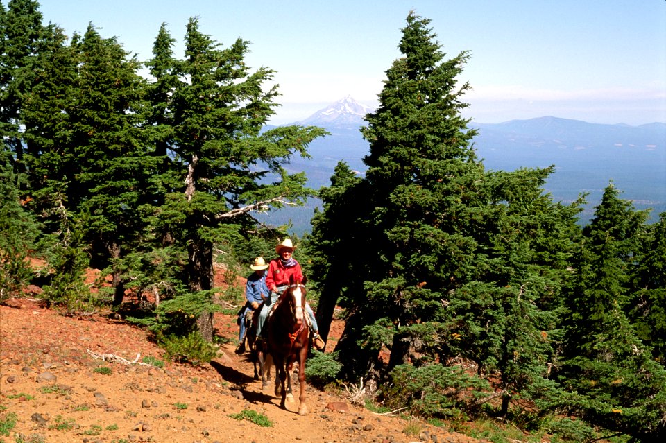 Horseback Riders Enjoy Trail Ride - Ochoco