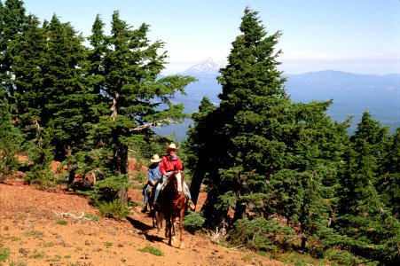 Horseback Riders Enjoy Trail Ride - Ochoco photo