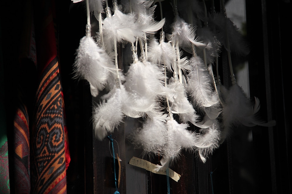Humanities shop white
