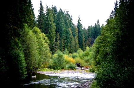 Clackamas River entering Clackamas Wilderness-Mt Hood photo