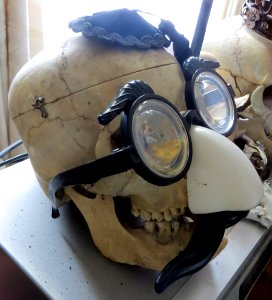 skull with Groucho glasses and yarmulke photo