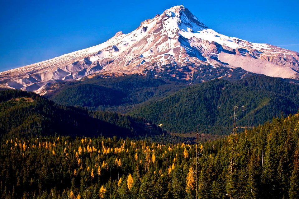 Mt Hood from Lower White River Wilderness-Mt Hood