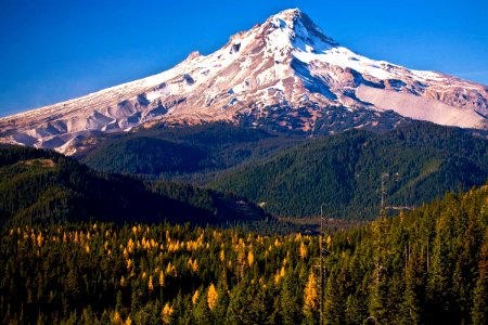 Mt Hood from Lower White River Wilderness-Mt Hood