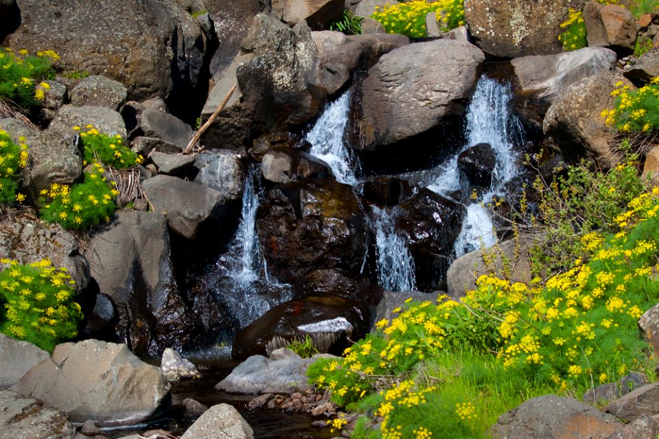 Small waterfall in Mt. Ranch State Park, WA.-Columbia River Gorge