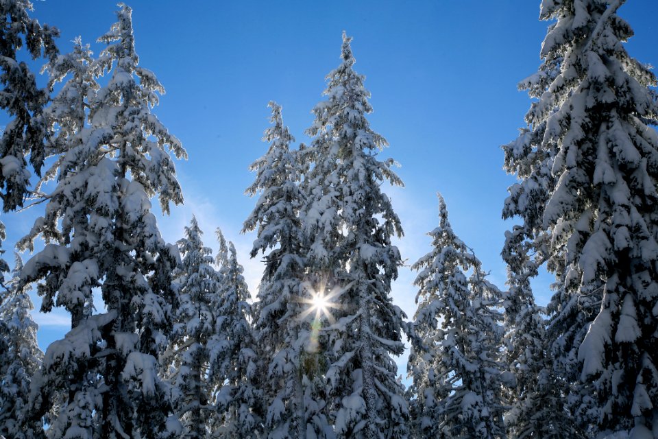 WINTER SCENE AT MT BACHELOR-DESCHUTES photo