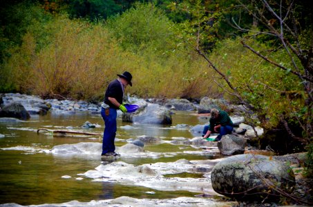 Men panning for Gold at Three Pools, Willamette National Forest