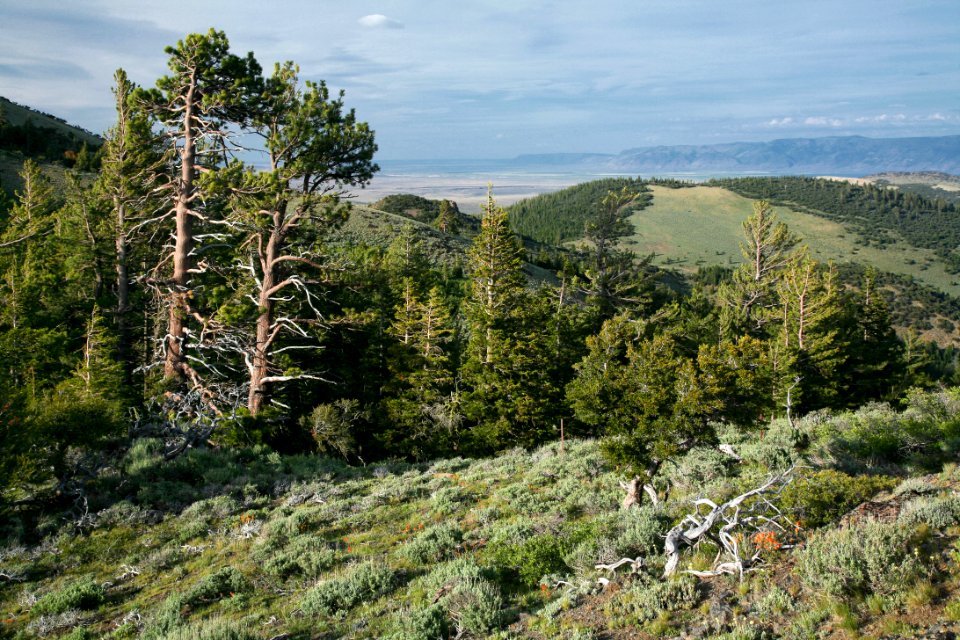 Twelve Mile Butte-Fremont Winema
