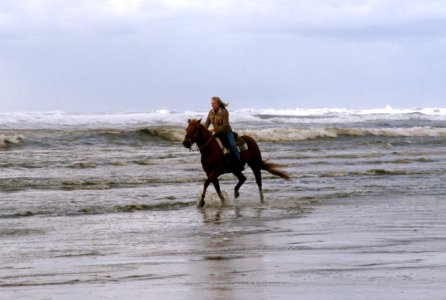 Horseback riding at Oregon Dunes National Recreation Area, Siuslaw National Forest