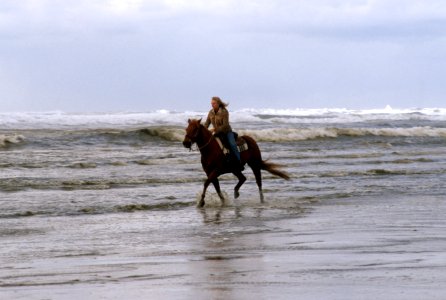 Horseback riding at Oregon Dunes National Recreation Area, Siuslaw National Forest photo