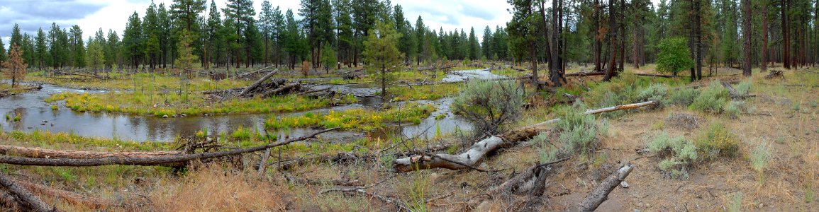 Deschutes National Forest, Whychus Creek restoration panorama after 7ABC.jpg photo