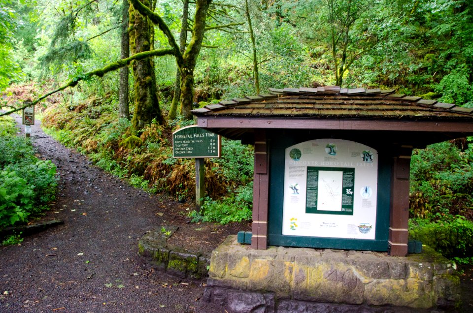 Lower Horsetail Falls Interpretive Sign-Columbia River Gorge