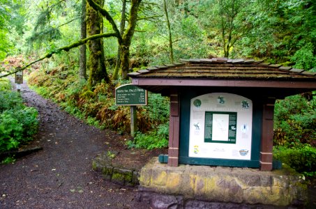 Lower Horsetail Falls Interpretive Sign-Columbia River Gorge