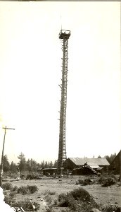 Sisters lookout tower; height 105 feet, built around a tree. F.E. Bonner, Sept. 1921