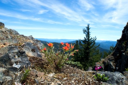 Mount June, Umpqua National Forest photo