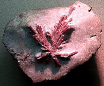 radiating pink crystals photo