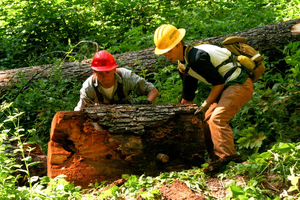 Willamette National Forest - Youth Conservation Corps Workers on Willamette-103