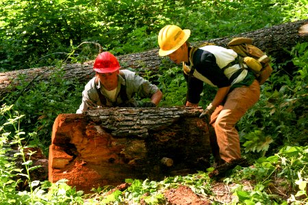 Willamette National Forest - Youth Conservation Corps Workers on Willamette-103