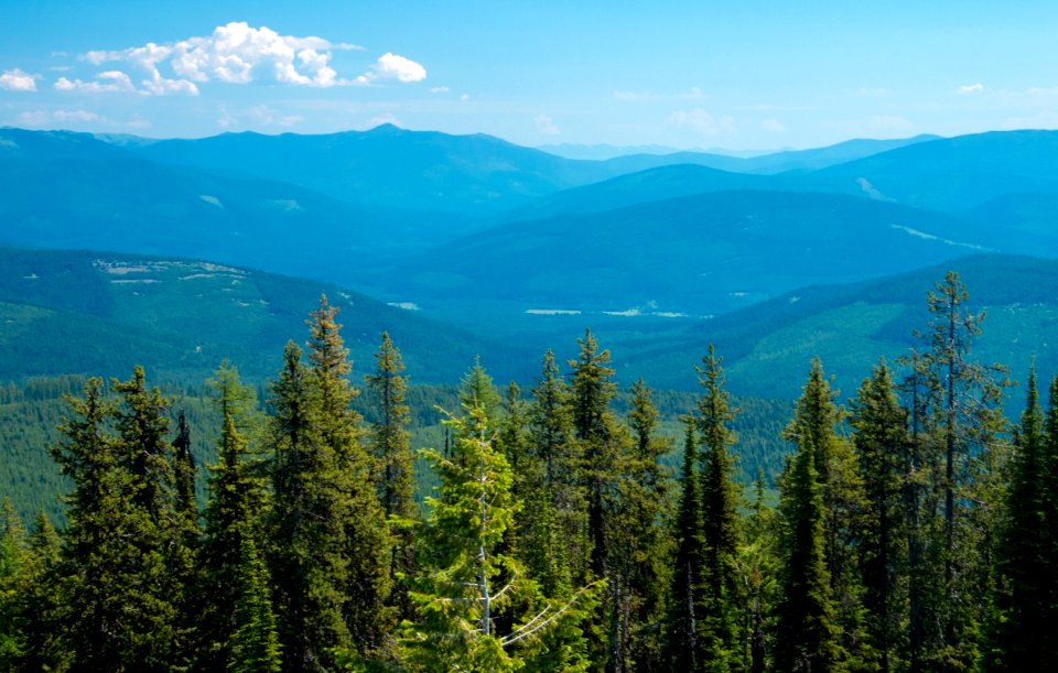 The Yaak Valley from the Pacific Northwest Trail on Garver Mountain