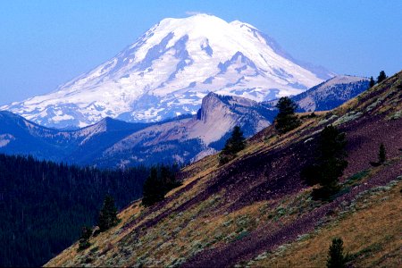 View of Mt Rainier, Okanogan Wenatchee National Forest