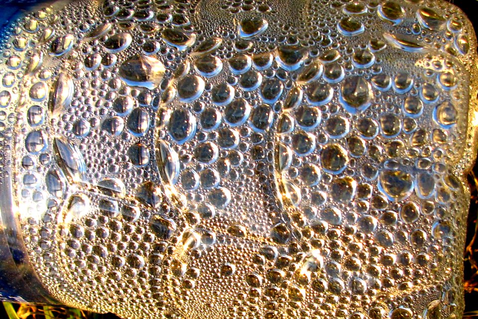condensation in plastic bottle