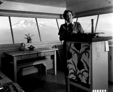 456969 Flat Top LO with Billee Web, GPNF, WA 1949