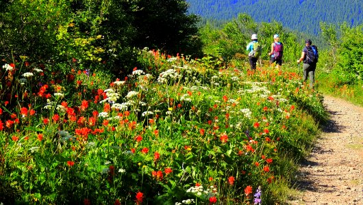 Silver Star Key Exchange on the Gifford Pinchot National Forest