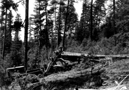 364--- Cat Hauling Logs with Arch on Hines TS, Malheur NF, OR c1938.JPG