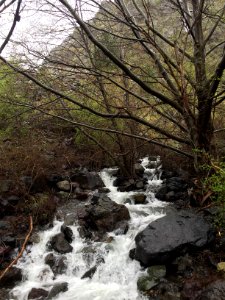 Spring run-off in Hells Canyon, Wallowa-Whitman National Forest photo
