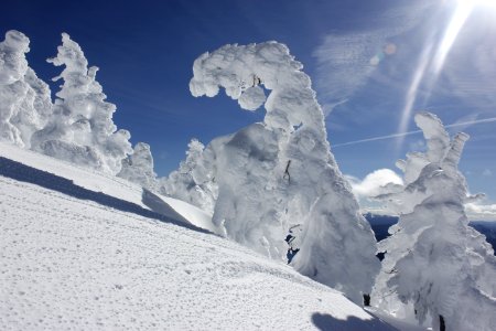 Frozen trees at the summit of Maiden Peak on the Willamette National Forest on the Willamette National Forest