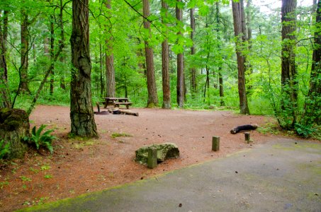 Eagle Creek Campground Tent Site-Columbia River Gorge photo
