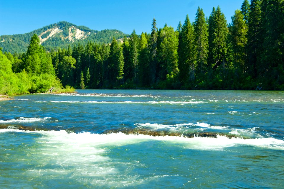 Rapids on the Wenatchee River, Okanogan Wenatchee National Forest