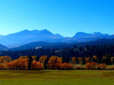 Fall colors by Joseph Oregon, Wallowa-Whitman National Forest