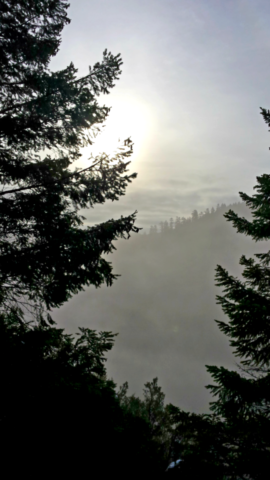Barklow Mountain, Rogue River Siskiyou National Forest
