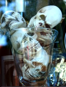 skulls on the rocks