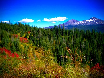 Three Sisters and Fall Color, Willamette National Forest photo