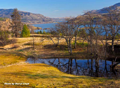 A vernal pond that attracts wildlife, like ducks and deer - view is toward the east. Photo by Darryl Lloyd.