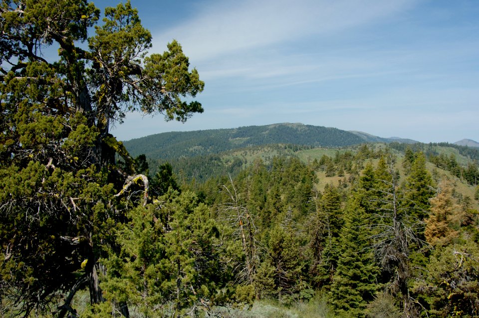Looking West from Fall Mountain Lookout-Malheur