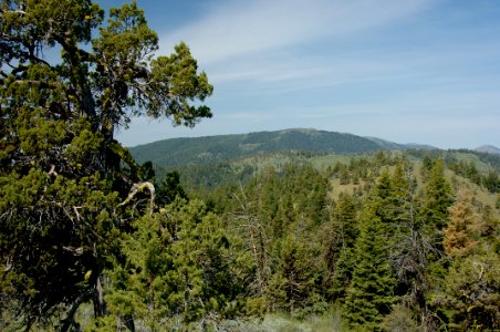 Looking West from Fall Mountain Lookout-Malheur