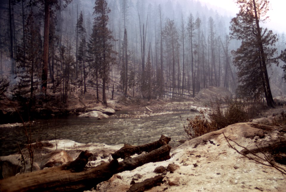 487 Entiat Fire, Wenatchee Nat'l Forest,  1970