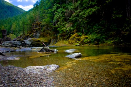 Forest and Stream at Three Pools, Willamette National Forest photo