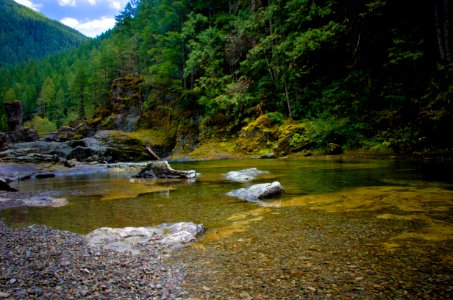 Forest and Stream at Three Pools, Willamette National Forest